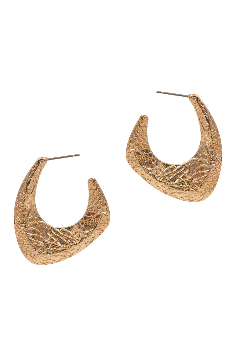 Hook Shaped Metal Pin Hoop Earrings