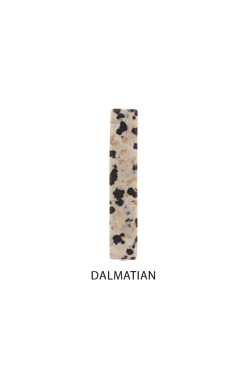 DS1N064_DALMATIAN