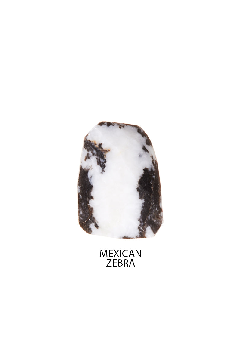 DS1N074_MEXICAN ZEBRA