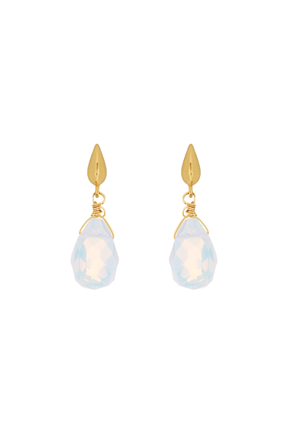 DS1E001_OPAL