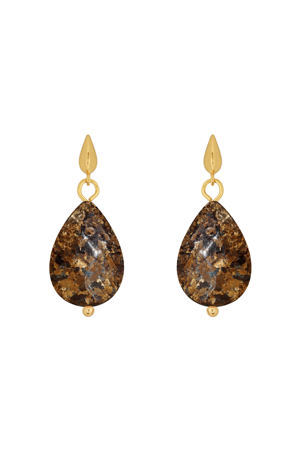 DS1E002_BRONZITE