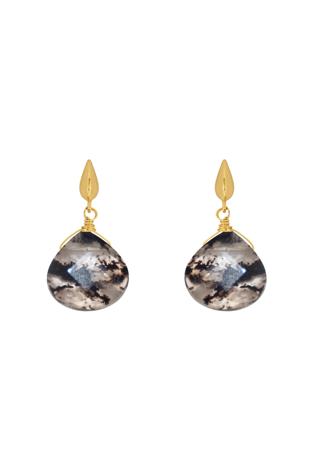 DS1E003_BLACK MOSS