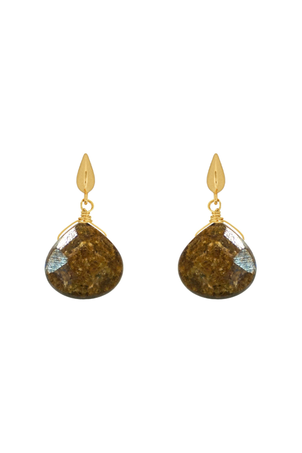DS1E003_BRONZITE