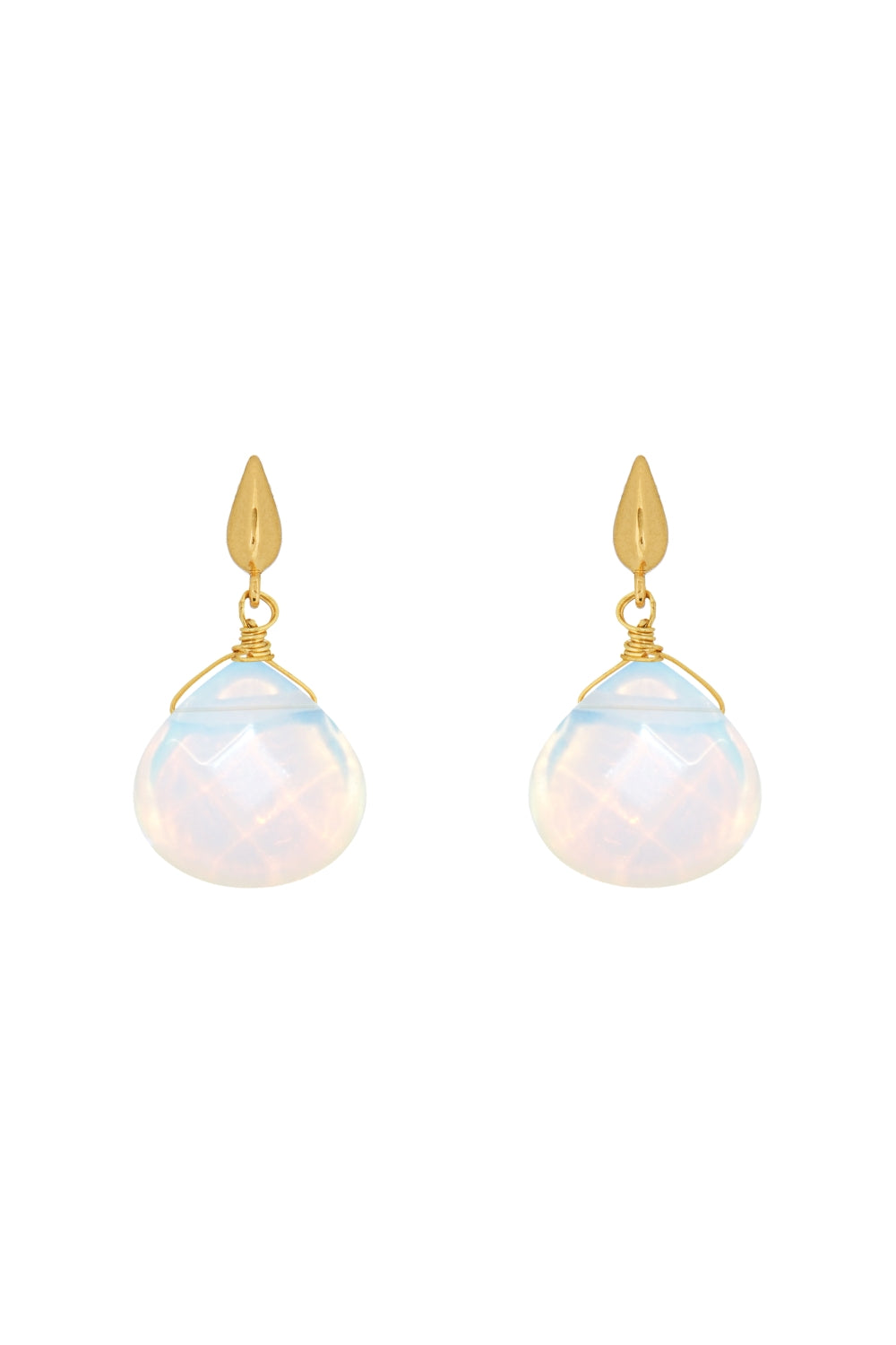 DS1E003_OPAL
