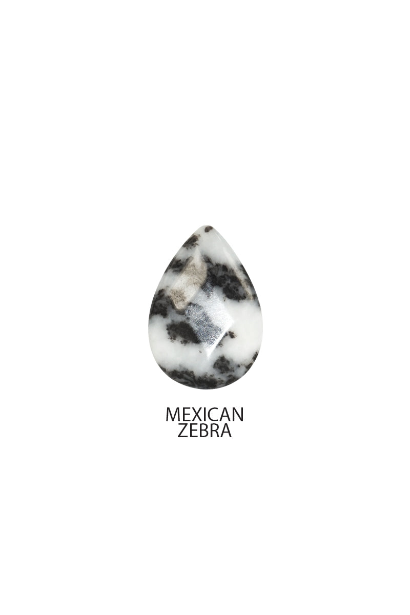 DS1N067_MEXICAN ZEBRA